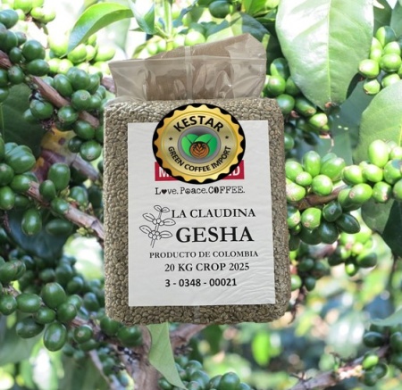 COLOMBIA Antioqua Hacienda La Claudina Gesha Honey - Img 4