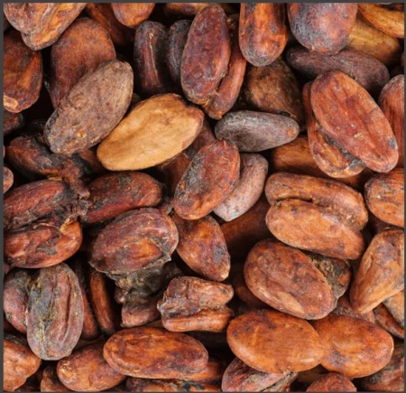 ROASTED COCOA BEANS - VENEZUELA Criollo Choroni - Microlot  - Img 3