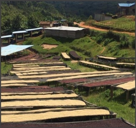 RWANDA Simbi Kinazi Honey - Img 4
