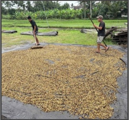 COLUMBIA Finca Yarumal Gesha Natural - Img 2