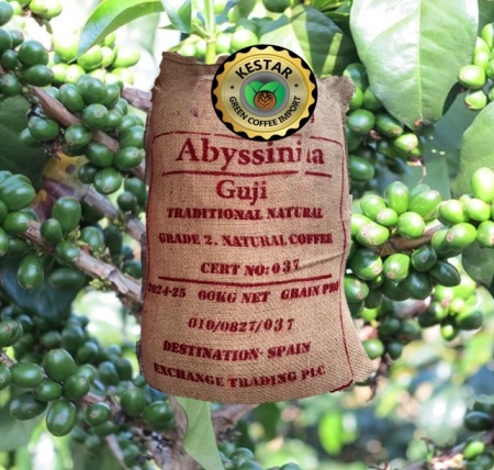 ETIOPIA Guji Abyssinia Mocca - Img 5