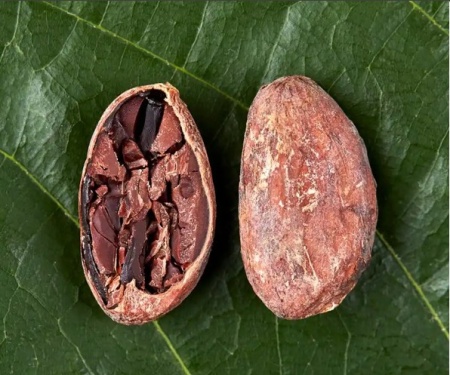 ROASTED COCOA BEANS - DOMINICAN REPUBLIC Zorzal Comunitario - Img 2
