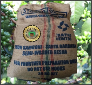COLUMBIA Huila Finca Santa Barbara Geisha Semi-Washed - Img 2