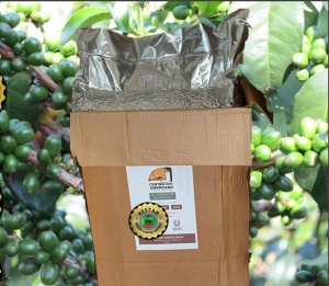 COSTA RICA Aquiares Estate Juanilama Plant Co-fermented