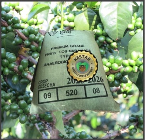 EL SALVADOR Finca Los Naranjos