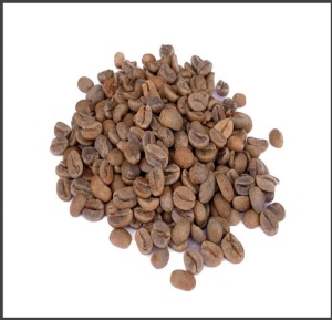 EL SALVADOR Finca Villa España Geisha Anaerobic Washed - Img 2