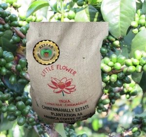 INDIA Plantation AA Chinennahally Estate
