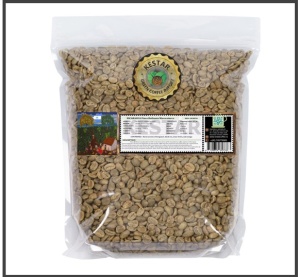 NICARAGUA Finca Bethania Maracaturra Washed