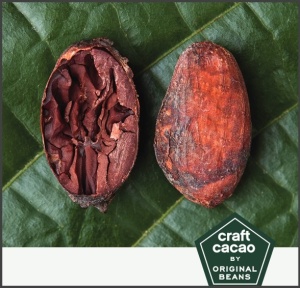 ROASTED COCOA BEANS - PERU PIura Blanco - Img 2