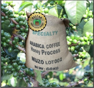 RWANDA Muzo Honey - Img 4