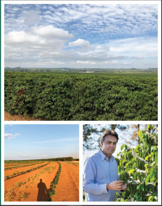 BRAZILIA Caramelo Doce Fazenda Paraiso - Img 2