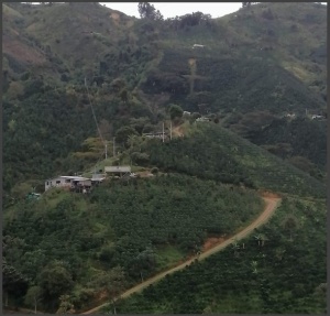 COLUMBIA Huila Finca Villa Ines - Img 2