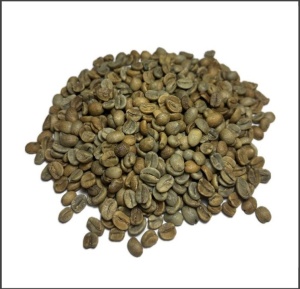 EL SALVADOR Finca San Francisco Anaerobic Washed 87.5 pc