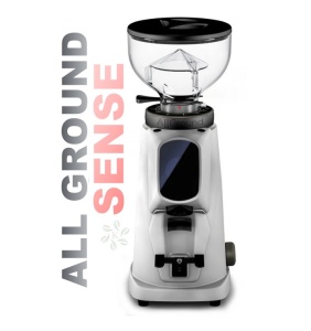 Grinder Fiorenzato All Ground Sense