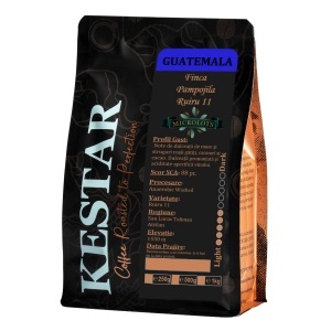 GUATEMALA Finca Pampojila Ruiru 11