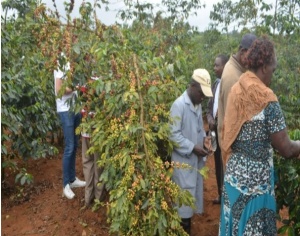 KENYA Kirinyaga KII AB