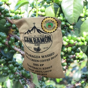 NICARAGUA Jinotega Finca San Ramon
