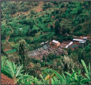 RWANDA Humure Abishyizehamwe - Img 2