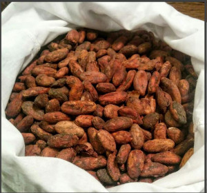 Ciocolata bean to bar