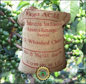 EL SALVADOR Finca San Francisco Anaerobic Washed 87.5 pc - Img 5