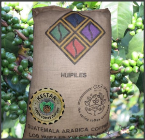 GUATEMALA Huehuetenango Los Huipiles