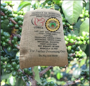 HONDURAS Marcala La Paz Natural