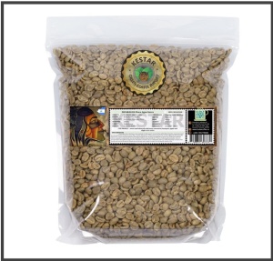 NICARAGUA Finca Agua Sarca Yellow Catuai