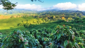 Nicaragua Jinotega La Esmeralda - Img 2