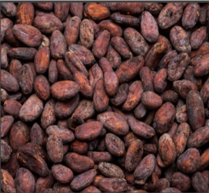 RAW COCOA BEANS - INDONESIA Ghaura Estate