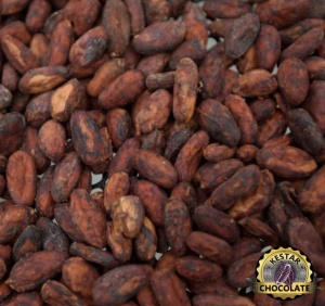UNROASTED COCOA BEANS - ECUADOR Hacienda Victoria