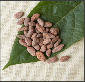 Ciocolata bean to bar - COLUMBIA Zocay, Vista Hermosa - SILVER WINNER @chochawards 2026 - Img 4