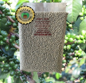 COLOMBIA Huila Finca El Porvenir