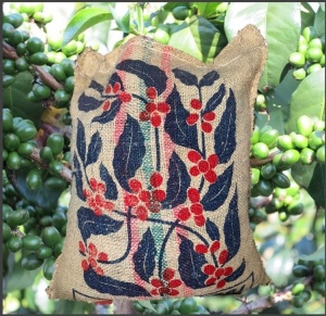 COLUMBIA Huila Finca Santa Barbara Geisha Semi-Washed - Img 2