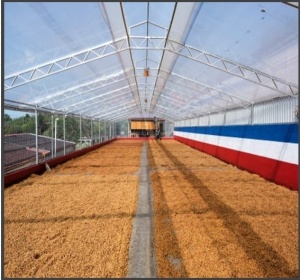 COSTA RICA Finca Las Lajas Honey - Img 2