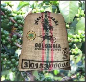 DECAF COLUMBIA Huila Sugarcane