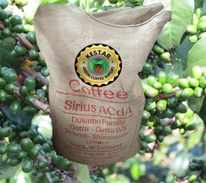 ETHIOPIA  Sidamo Shantawene Anaerobic Natural Teff - Cereal Ferment