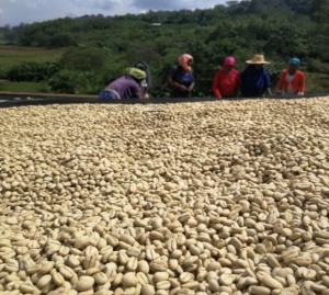 KENYA Nakuru Mutungati AB