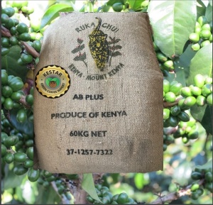 KENYA Nyeri Ruka Chui