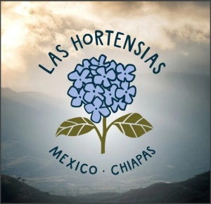 MEXIC Chiapas Las Hortensias Organic - Img 4