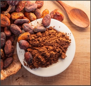 Natural Cocoa Powder - Dominican Republic