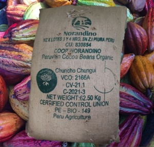 RAW COCOA BEANS - PERU Chunco Chungui