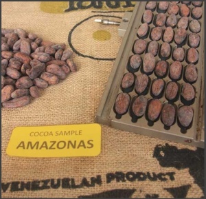 RAW COCOA BEANS - VENEZUELA Amazonas Rimoaje - Specialty