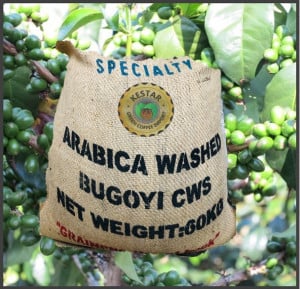 RWANDA Bugoyi Baho Red Bourbon
