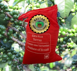 BRASIL Campo das Vertentes Honey