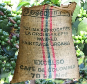 COLOMBIA Excelso EP Tolima Planadas
