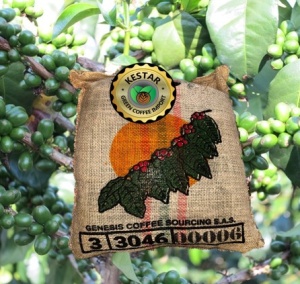 COLOMBIA Huila Finca Villa Betulia - MICROLOT