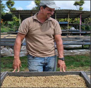 COSTA RICA El Cerro San Luis Micromill Yellow Honey - Img 2