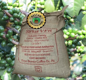 ETHIOPIA  Sidamo Shantawene Anaerobic Natural 300+ Hours