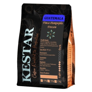 GUATEMALA Finca Pampojila Frozen Anaerobic Natural