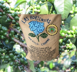 MEXIC Chiapas Las Hortensias Organic